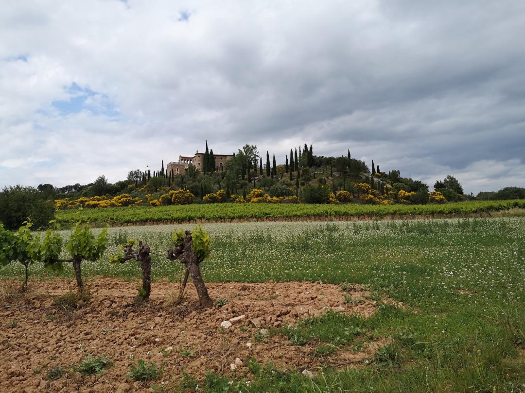 Cours de dessin, croquis, peinture, de voyage à AixenProvence