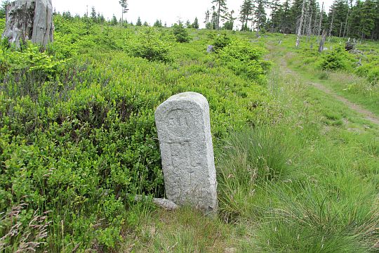 Szlak na Smrek wiedzie dawną linią graniczną.