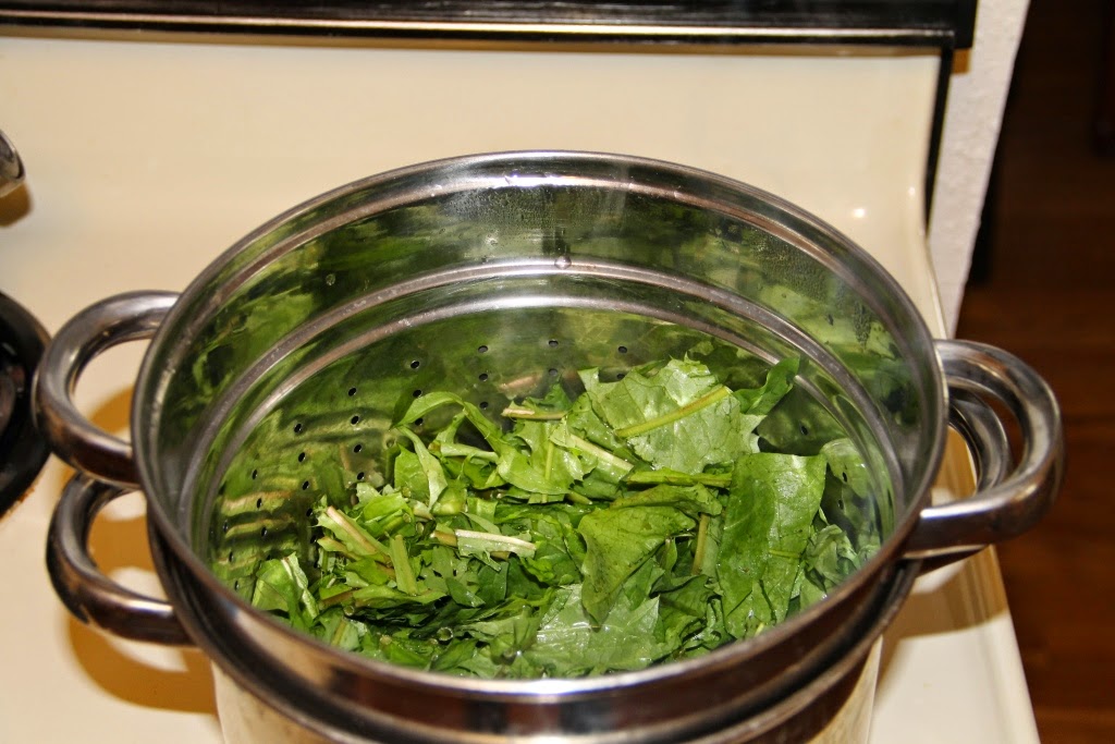 The Homestead Laboratory Freezing Dandelions