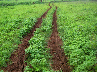 Adventure Unlimited !: Club ride to Kanholibara