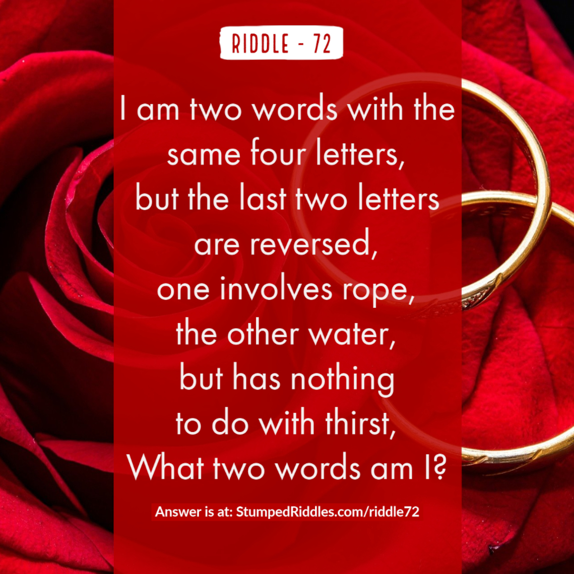 It's Riddle Time An Introductory Review of Riddle Book Number 6