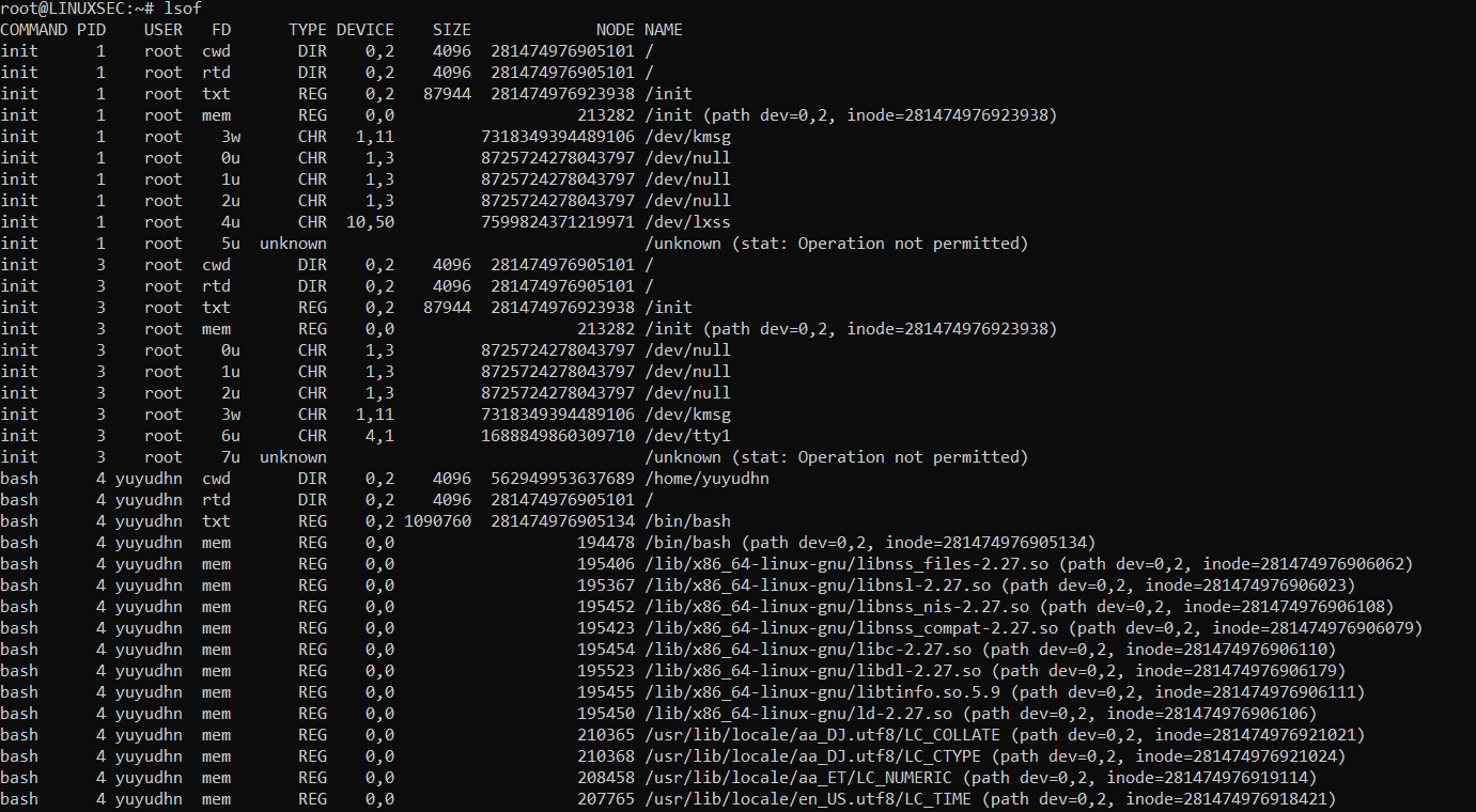 Помощник загрузки initialization. Get в питоне. Команда git init как работает. Root пользователь linux. Процесс init.