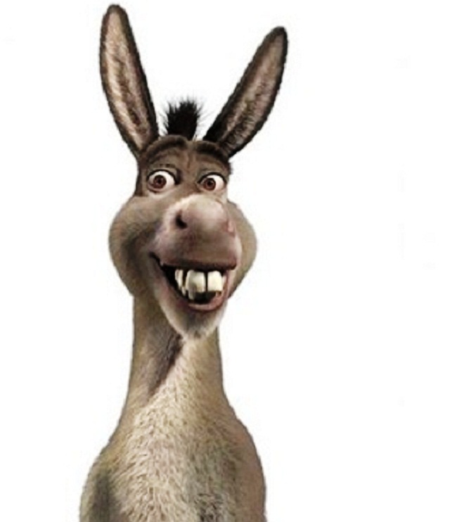 Burro de shrek imagenes - Imagui