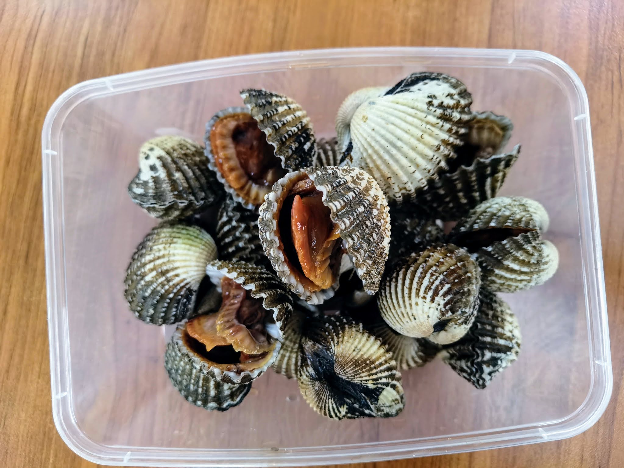 Kin Hoi Eat Shellfish Jumbo Cockles @ 6 Holland Close. See Hum Even ...