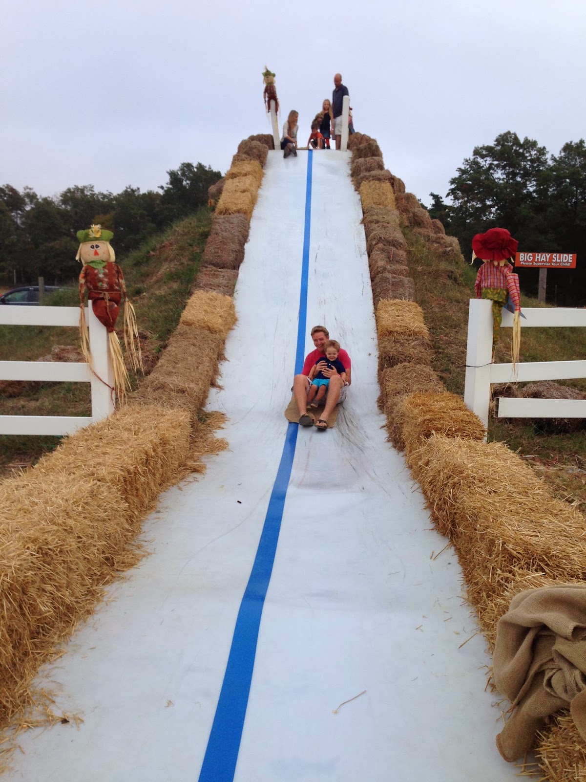 Some Sugar Added Argos Farm