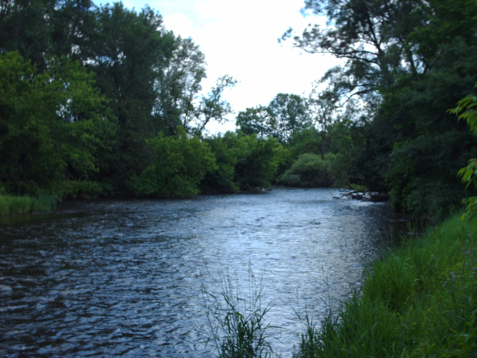 Riverside Park Trail Run (Cambridge) Chase March