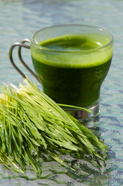 Wheat grass juice sperm mobility