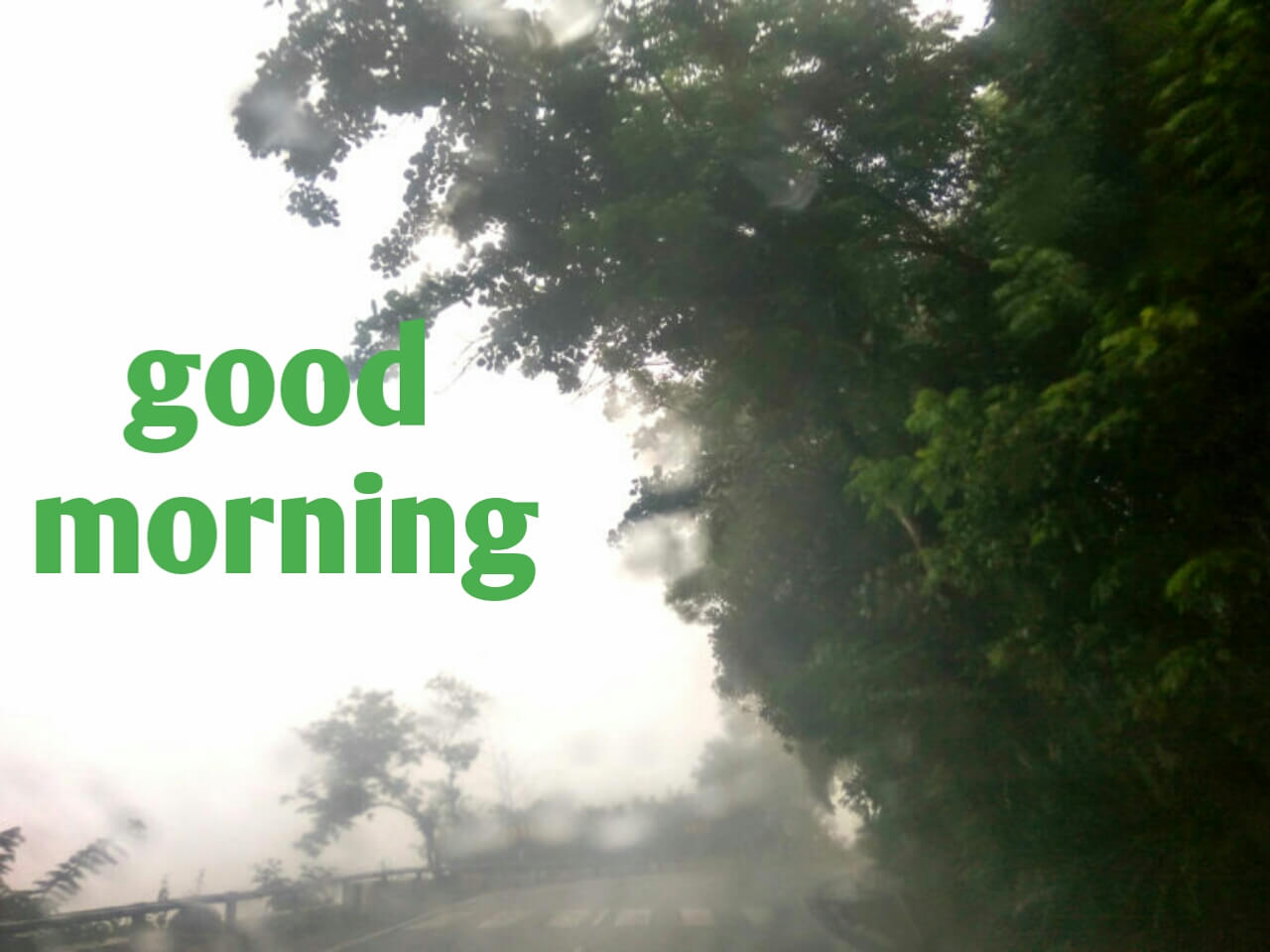 50+ good morning images download | free themes