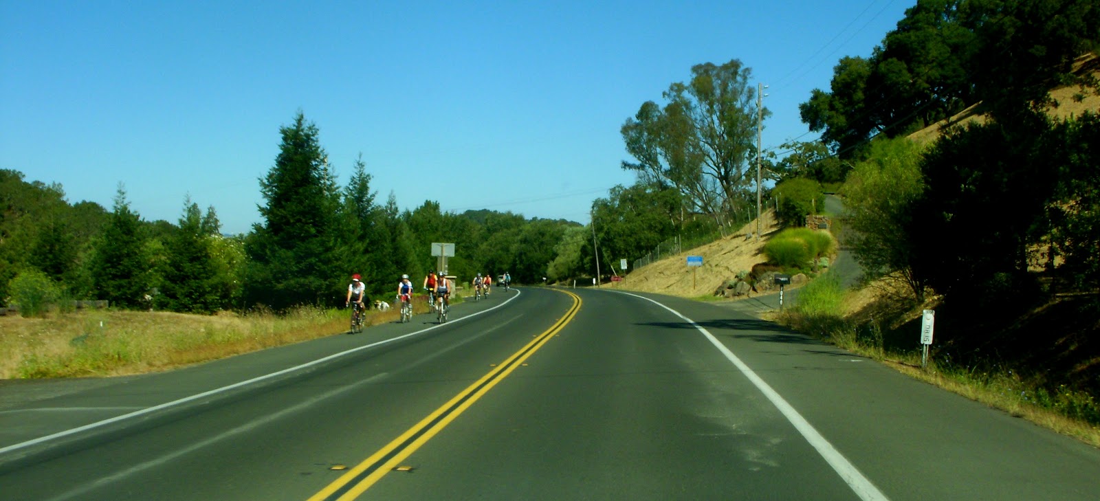 Honey's Treasures Cobb Mountain