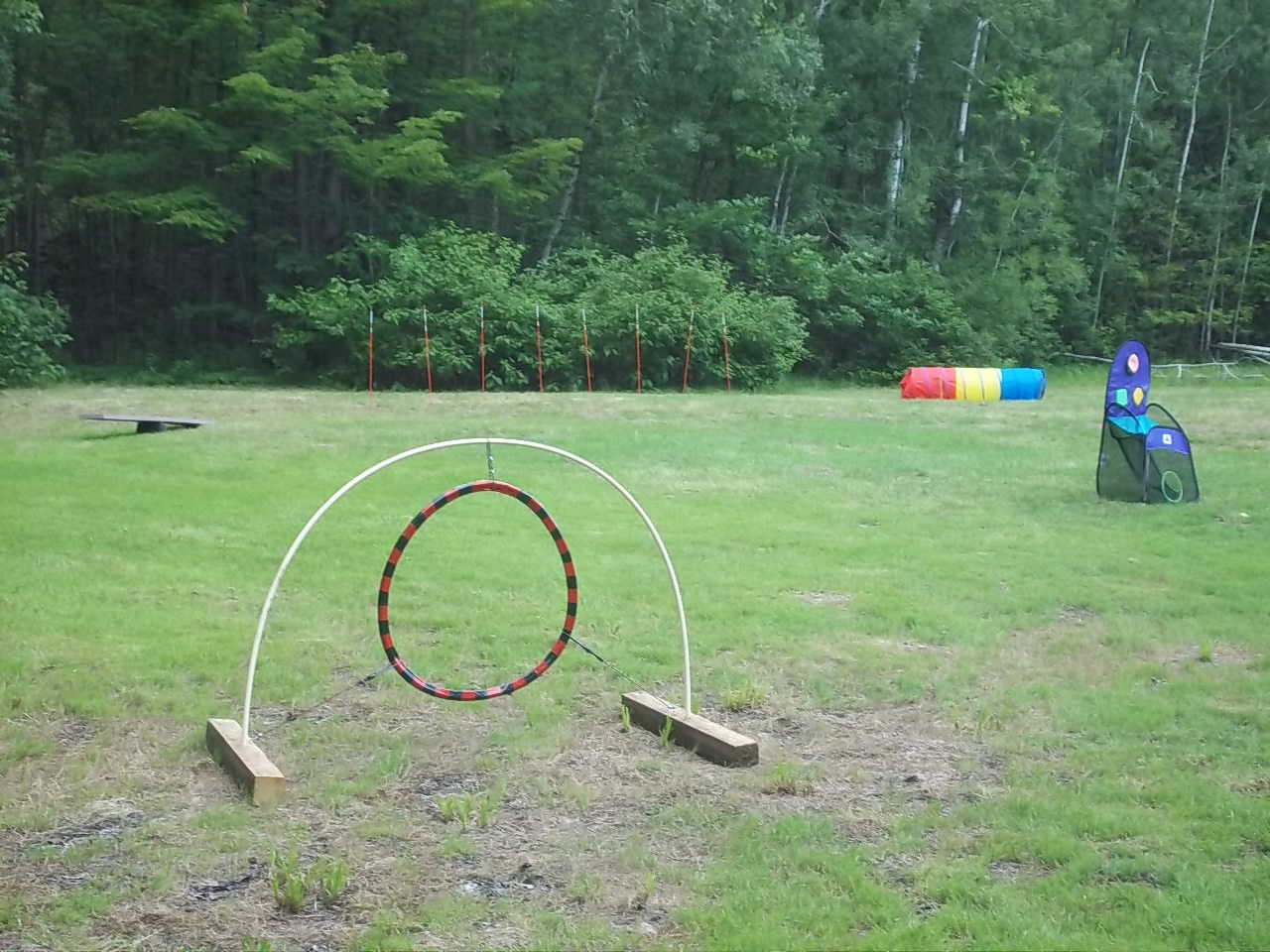 Dog Agility Course at North Hero