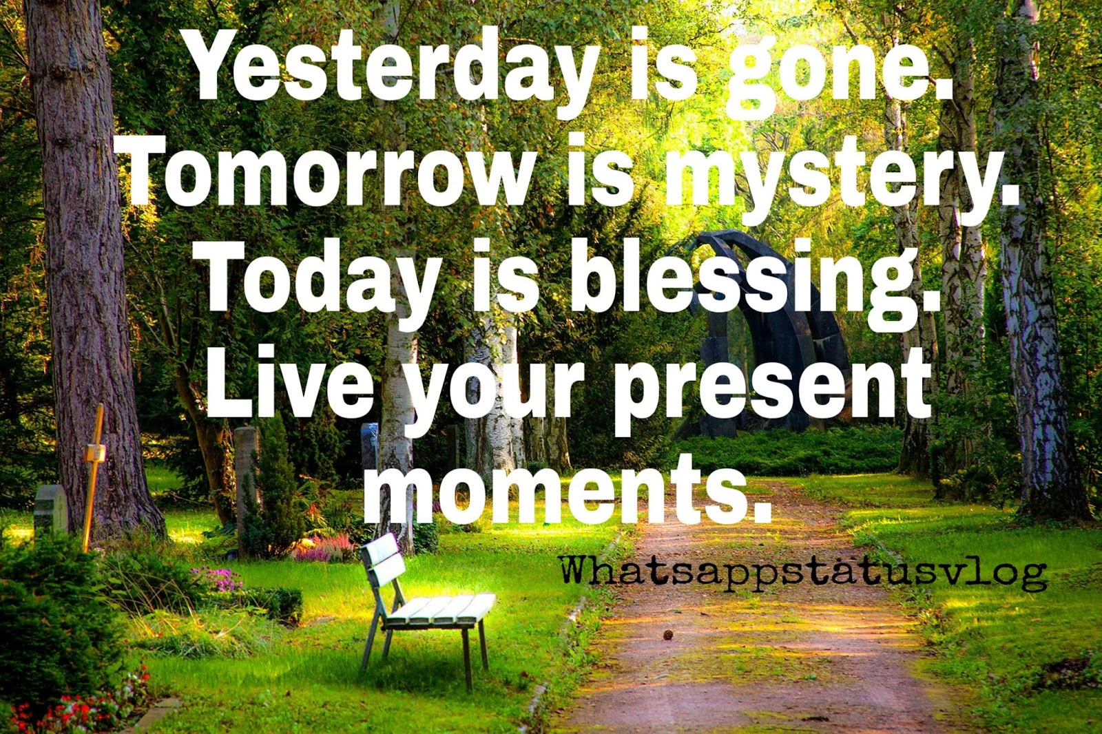 good morning images for whatsapp free download good morning images for whatsapp free download