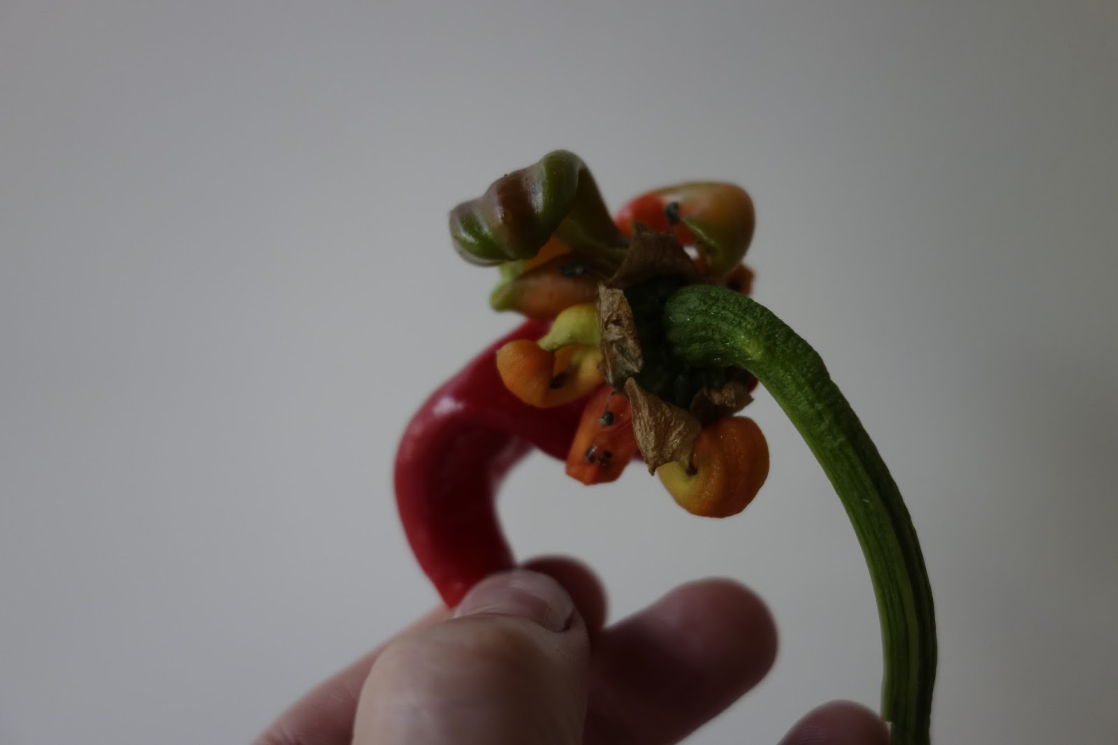 Cold Hands Warm Earth Jimmy Nardello Peppers Deformed??
