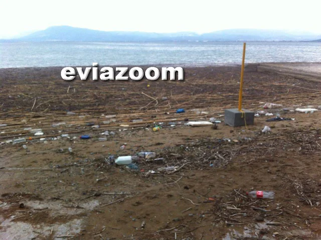 Χαλκίδα: Ντροπή! Το Θαλασσινό Καρναβάλι «έπνιξε» στα σκουπίδια την πλαζ Ροδιές (ΦΩΤΟ & ΒΙΝΤΕΟ)