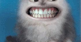 Art and Photography: Cat teeth