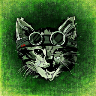 cool cat pfp