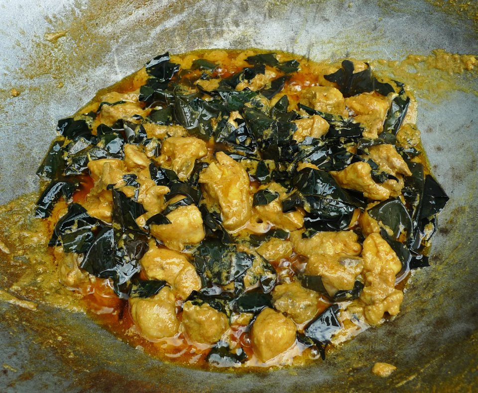 Ibu Sham Rendang ayam daun puding, iftar pertama.