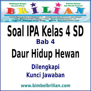 Download Soal IPA Kelas 4 SD Bab Daur Hidup Hewan Dan Kunci Jawaban
