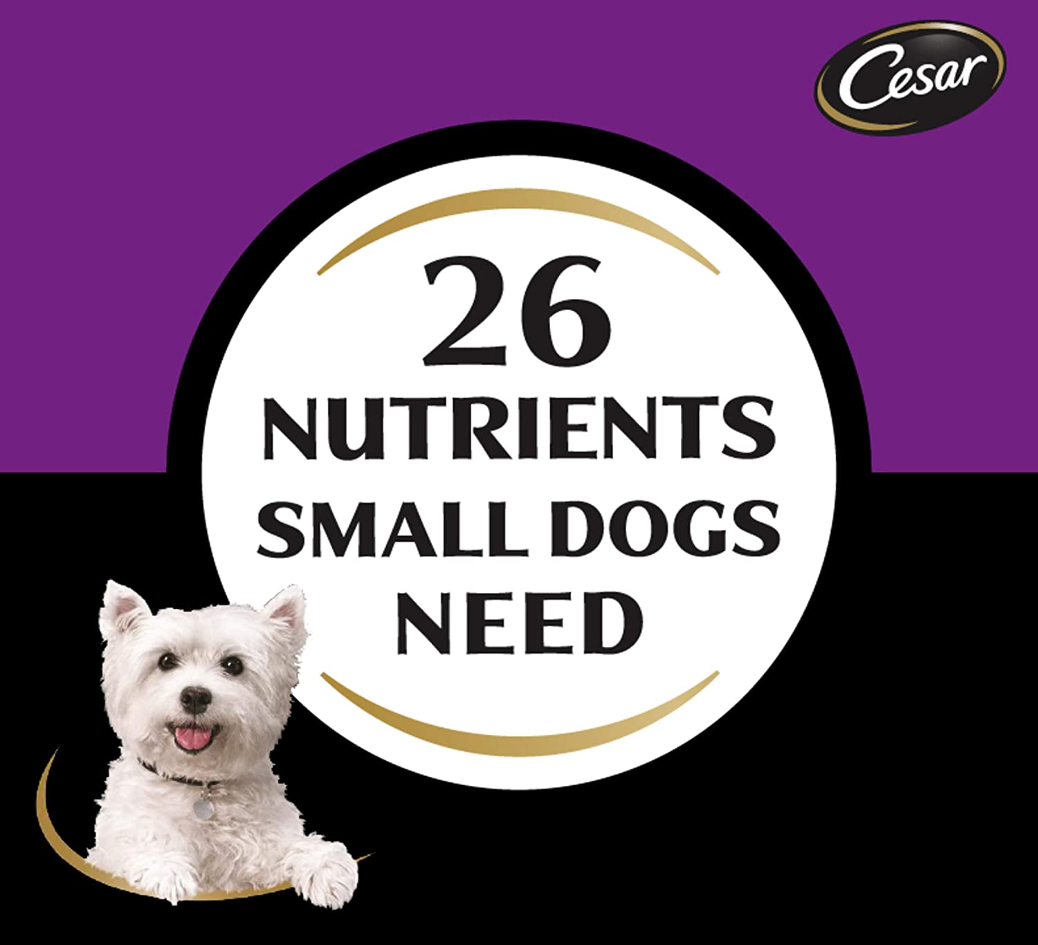 Cesar Beef Dry Dog Food