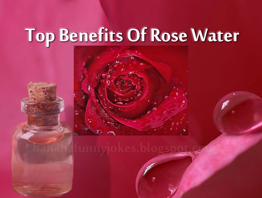 What Are The Top Benefits Of Rose Water