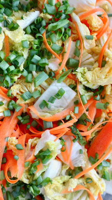 napa cabbage, diced green onion, peeled carrot for making kimchi