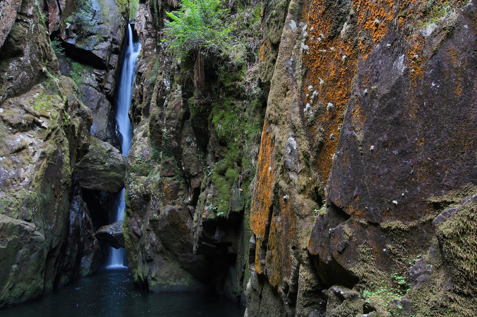 awildland Gloucester Falls Barrington Tops National Park