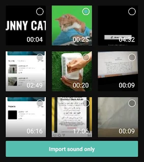 how to extract audio in capcut