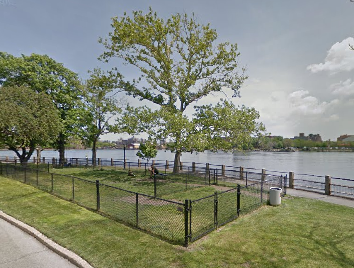 Roosevelt Islander Online Something Is Rotten In The State Of