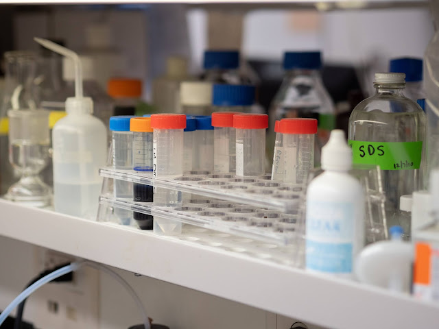 A group of test tubes with various color lids.