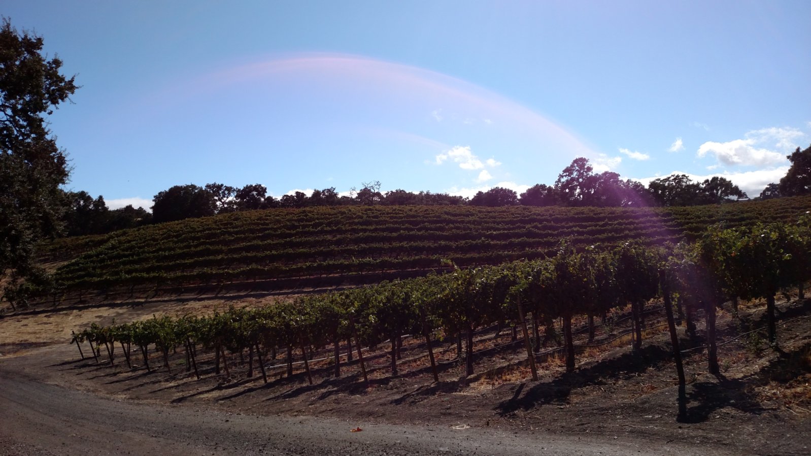 Wine and Wild Spaces Pure Paso The Wines of Zenaida Cellars