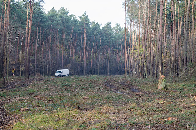 Przebudowa drogi wojewódzkiej 223 Białe Błota Bydgoszcz