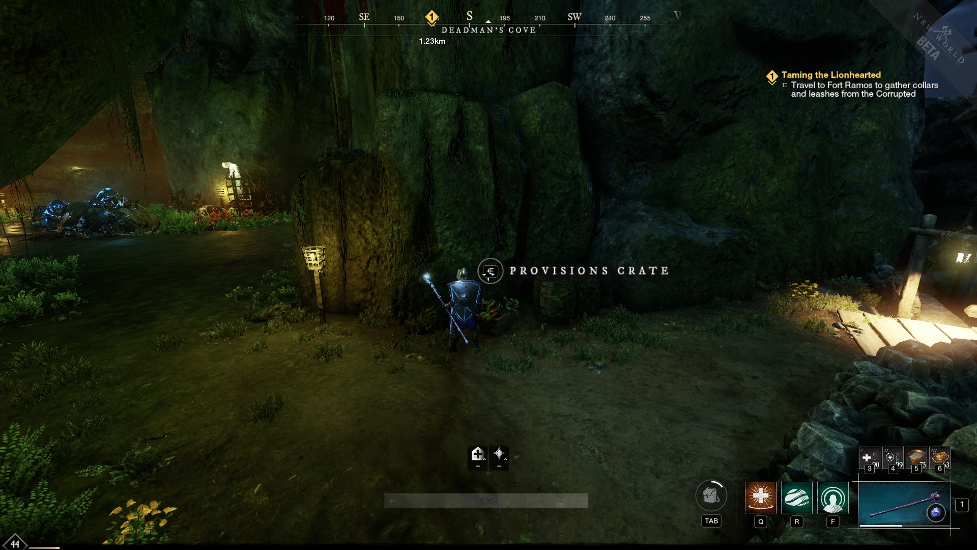 New World Deadman's Cove chest locations