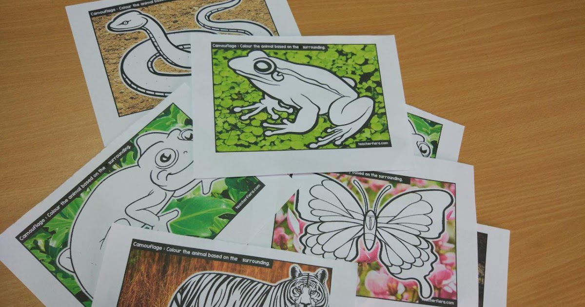 teacherfiera.com: YEAR 1 (2019) UNIT 3 : CAMOUFLAGE COLOURING SHEET