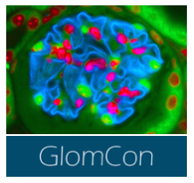 The Glomerular Disease Study & Trial Consortium (GlomCon)