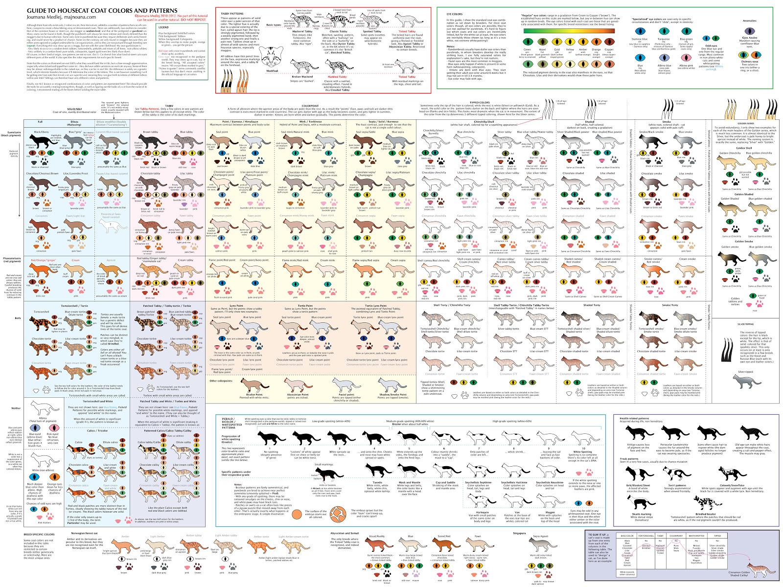 [Imagen: guide_to_cat_colors__patterns_by_cedarseed-d1iivd0.jpg]