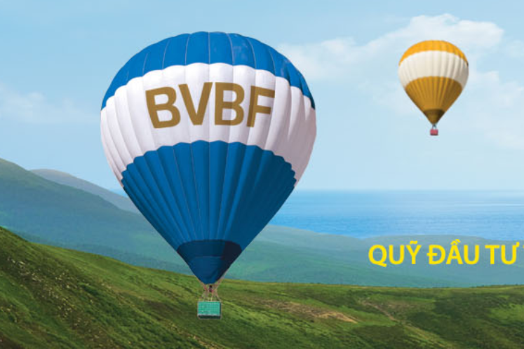 Qũy đầu tư cổ phiếu Bảo Việt BVPF ( Chi tiết )