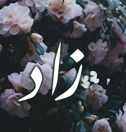 معنى أسم زاد وصفات حاملة هذا الأسم معنى أسم زاد وصفات حاملة هذا الأسم