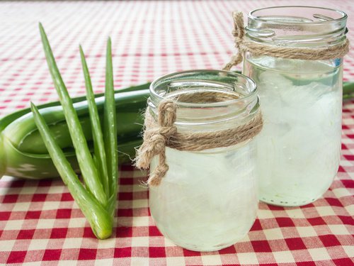 L'ail et l'aloe vera L'ail et l'aloe vera