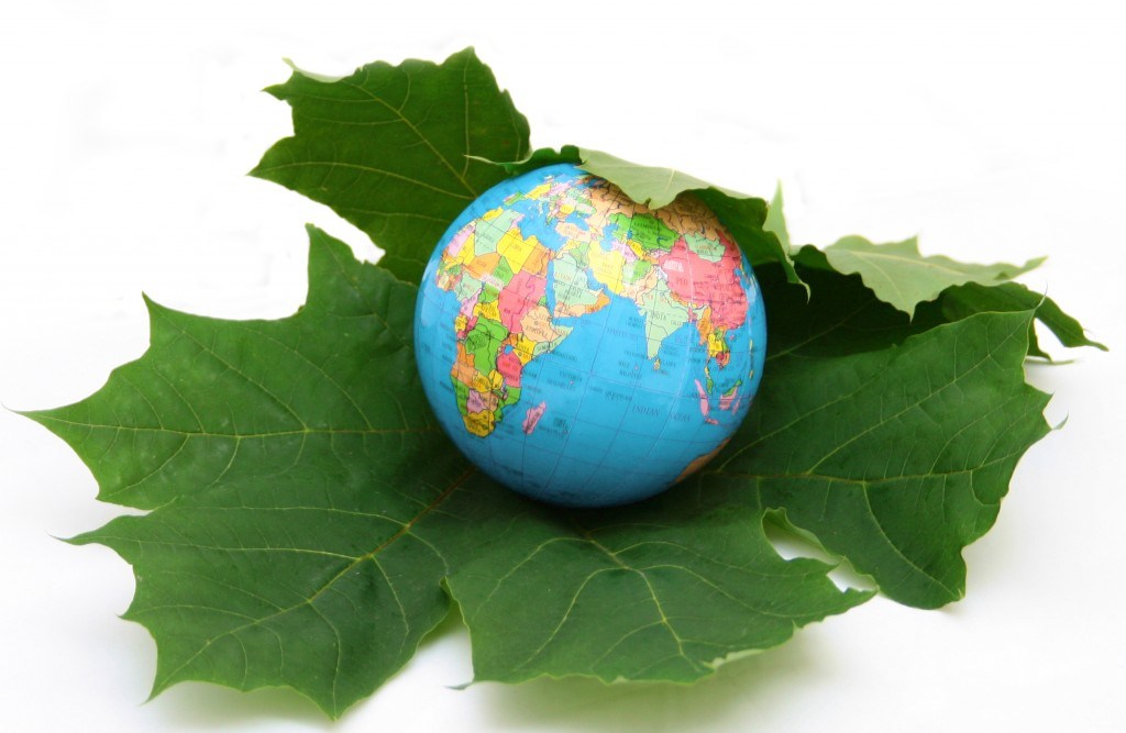 High School Application Essay Examples The Term Sustainable Development Was Coined By Eva Balfour And Wes Jackson The Concept Was Developed By World Commission On Environment And Sustainable Essay About English Language also Thesis For A Persuasive Essay Essay Sustainable Development Relevance In Todays World Example Of English Essay