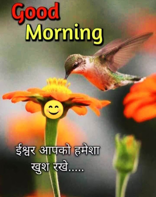 Good Morning Images For Whatsapp Good Morning Images For Whatsapp