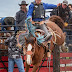 SCHOOL TWO - BRONC RIDING