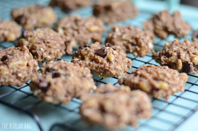 two ingredient oatmeal cookie recipe