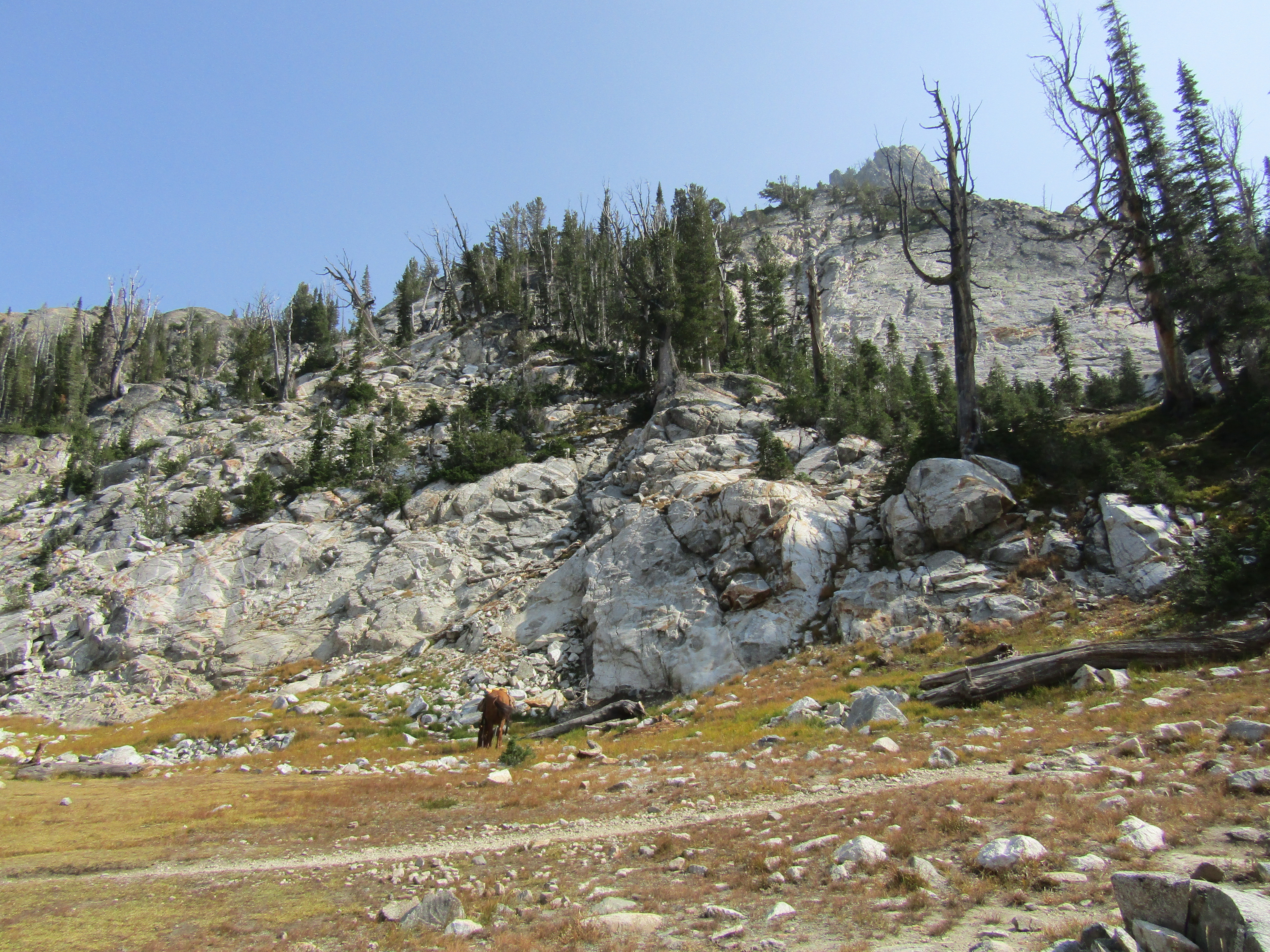 Holly's Horse Tales and Trails Tin Cup, Decker Flat, Iron Creek and