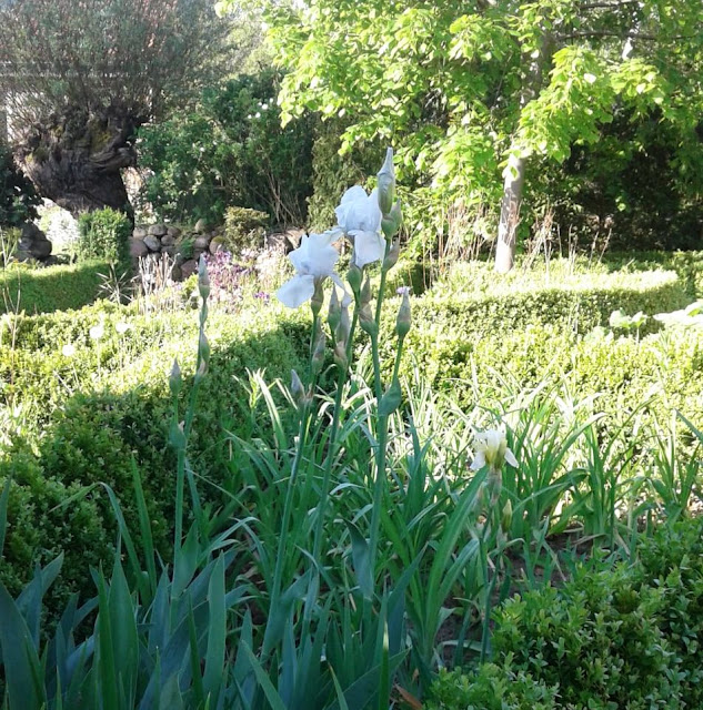 Gutshof Carolinenthal Offene Gärten Mecklenburg Vorpommern 2019