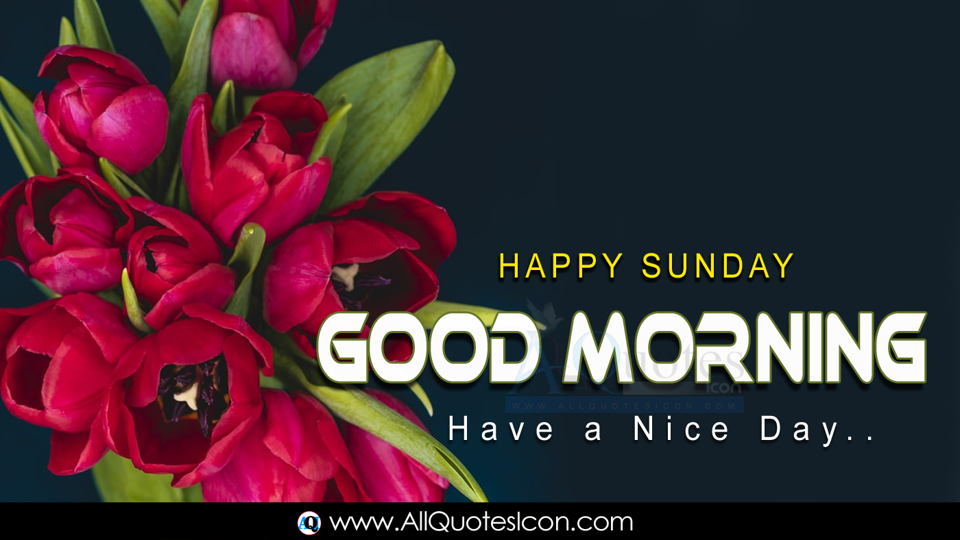 Best Happy Sunday English Good Morning Quotes Images HD Wallpapers Best