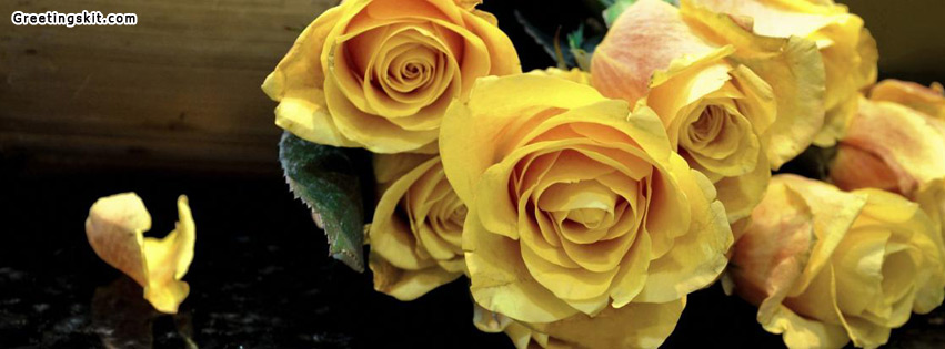 Facebook Cover of Lovely Flower | WELCOME TO PICTURE WORLD!