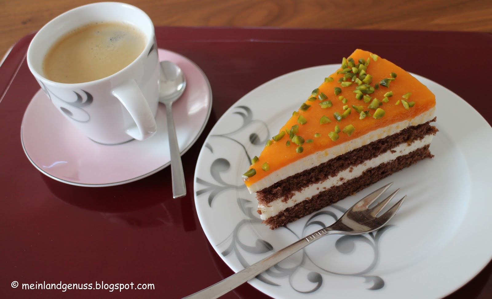 mein Land und Gartengenuss : Aprikosen-Schoko-Torte