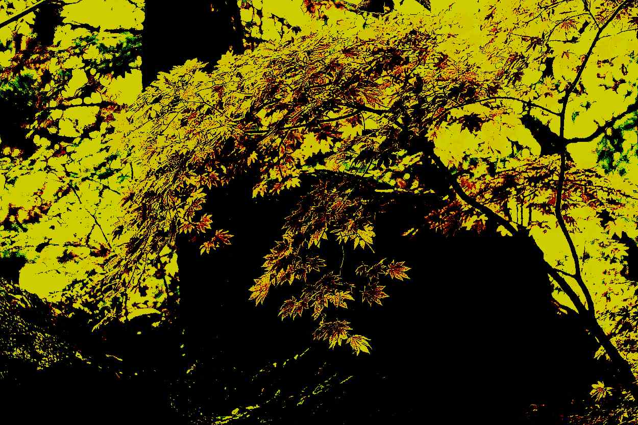 예산 덕숭산 수덕사