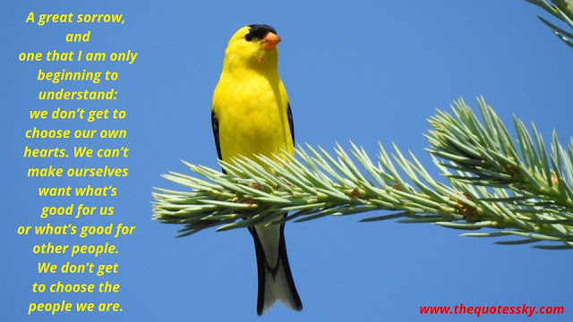 51+ American Goldfinch Bird Quotes [ 2021 ]