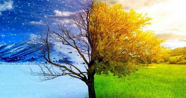 The Longest Day Of The Year Falls In Which Season? The Longest Day Of The Year Falls In Which Season?