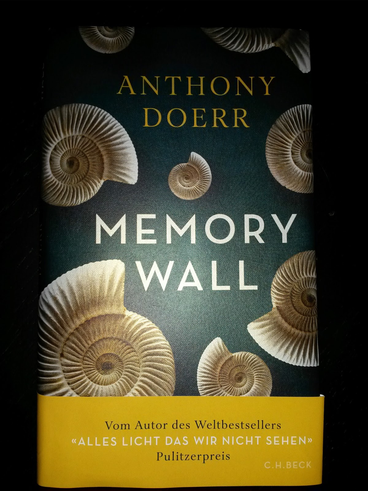 Querleserin: Anthony Doerr: Memory Wall